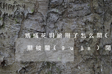 螞蟻花唄逾期了怎么開(kāi)通(花唄逾期被關(guān)閉怎么樣能快點(diǎn)再次開(kāi)通啊)