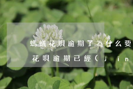 螞蟻花唄逾期了為什么要一次性還-為什么花唄逾期已經(jīng)還了,還要被要求全額還款