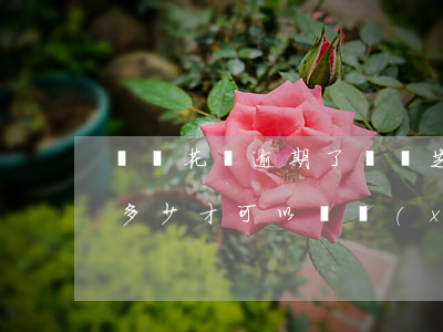 螞蟻花唄逾期了螞蟻芝麻(花唄逾期后芝麻分多少才可以繼續(xù)使用)