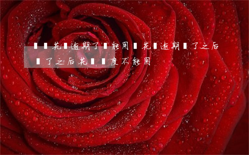 螞蟻花唄逾期了還能用嗎(花唄逾期還了之后還了之后花唄額度不能用)