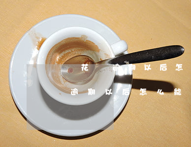 螞蟻花唄逾期以后怎么能申請分期-螞蟻花唄逾期以后怎么能申請分期還款