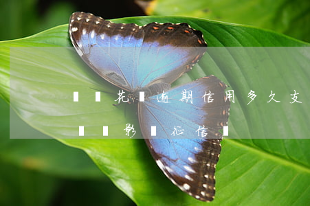 螞蟻花唄逾期信用多久(支付寶花唄逾期多長時間影響征信嗎)