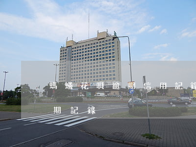 螞蟻花唄逾期信用記錄(支付寶如何查花唄逾期記錄)