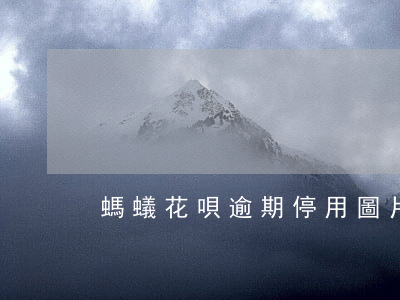 螞蟻花唄逾期停用圖片(花唄永久封停圖片)