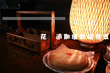 螞蟻花唄逾期催款短信(支付寶花唄催款短信)
