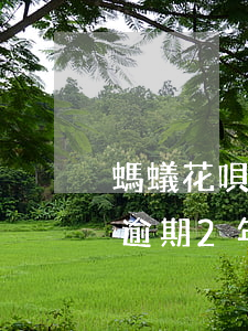 螞蟻花唄逾期兩年還了還能用嗎(支付寶花唄逾期2年多,還清了還能用嗎)