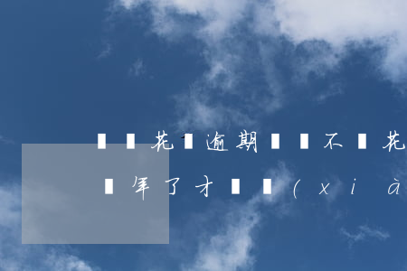 螞蟻花唄逾期兩萬不還(花唄逾期500塊錢兩年了才還,現(xiàn)在用不了了)