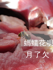 螞蟻花唄逾期八天還款(螞蟻花唄逾期了八個月了欠了四千不到)