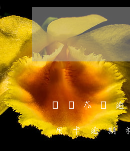 螞蟻花唄逾期利息多少啊(花唄逾期利息和信用卡逾期利息)