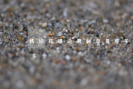 螞蟻花唄逾期利息是好多(花唄超時還款利息多少)