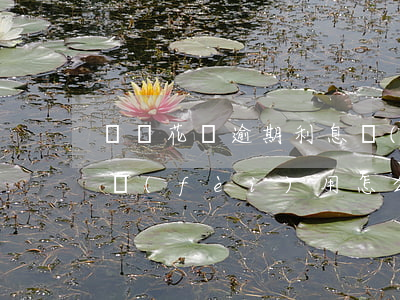 螞蟻花唄逾期利息計(jì)算(借唄逾期后費(fèi)用怎么計(jì)算)