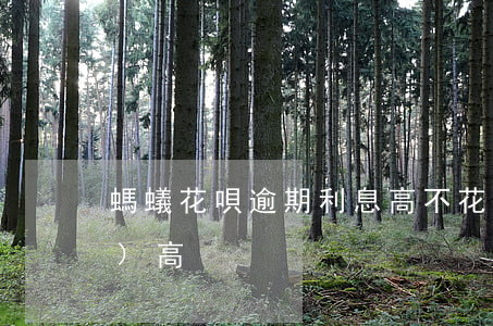 螞蟻花唄逾期利息高不(花唄利息過(guò)高)