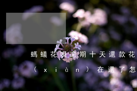 螞蟻花唄逾期十天還款(花唄逾期11天了,現(xiàn)在還了,怎么可以恢復使用)