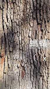 螞蟻花唄逾期半年征信6(花唄逾期了6天,現(xiàn)在還了,會影響征信嗎)