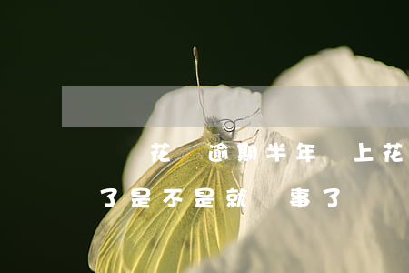 螞蟻花唄逾期半年還上(花唄逾期幾天后還清了是不是就沒事了)