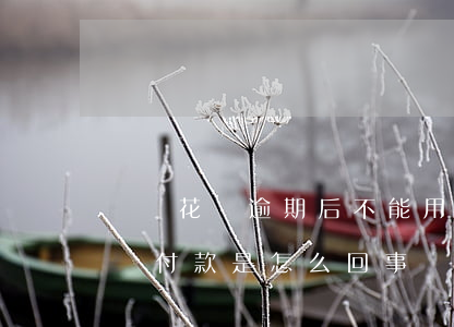 螞蟻花唄逾期后不能用(支付寶逾期不能用花唄付款是怎么回事)