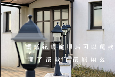 螞蟻花唄逾期后可以還款嗎-支付寶花唄逾期了還款了還能用么