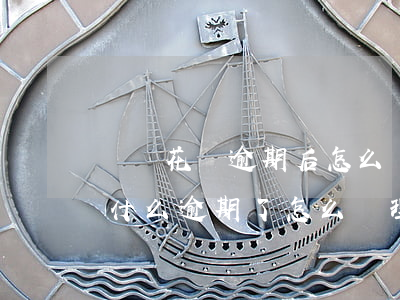 螞蟻花唄逾期后怎么辦(花唄顯示逾期不知道什么逾期了怎么處理)