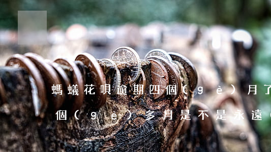 螞蟻花唄逾期四個(gè)月了(花唄逾期3個(gè)多月是不是永遠(yuǎn)都不會(huì)恢復(fù)了)