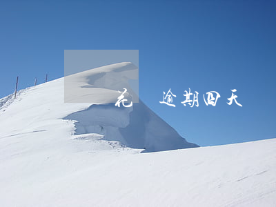 螞蟻花唄逾期四天 螞蟻花唄逾期四天