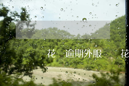 螞蟻花唄逾期外服來訪(花唄客服溝通延期)