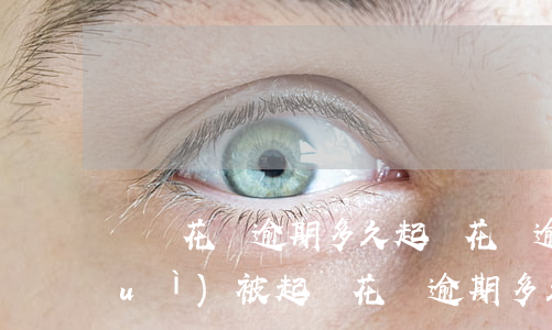 螞蟻花唄逾期多久起訴(花唄逾期多久會(huì)被起訴?花唄逾期多久會(huì)打電話)