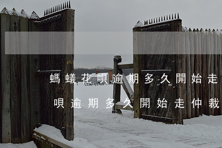 螞蟻花唄逾期多久開始走仲裁流程-螞蟻花唄逾期多久開始走仲裁流程的