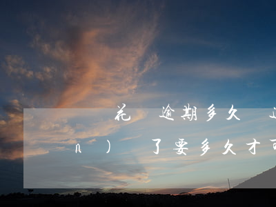 螞蟻花唄逾期多久開通(花唄逾期關(guān)閉了要多久才可以重新開啟)