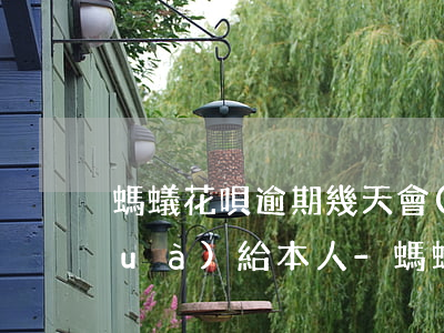 螞蟻花唄逾期幾天會(huì)打電話(huà)給本人-螞蟻花唄逾期幾天會(huì)打電話(huà)給本人嗎