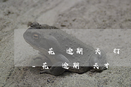 螞蟻花唄逾期幾天會打電話給通訊錄的人啊-花唄逾期幾天才會給通訊錄打電話?