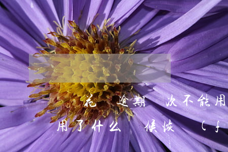 螞蟻花唄逾期幾次不能用(花唄逾期兩次不能用了什么時候恢復(fù)可以用)