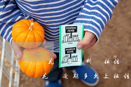 螞蟻花唄逾期影響征信嗎(花唄逾期有什么影響?花唄逾期多久上征信)