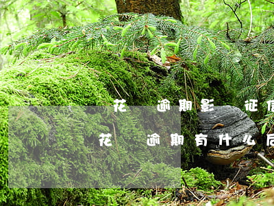 螞蟻花唄逾期影響征信(花唄借唄逾期上征信嗎?花唄逾期有什么后果)