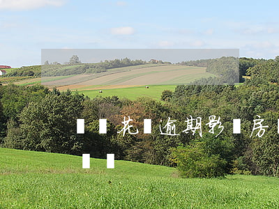 螞蟻花唄逾期影響房貸嘛(螞蟻花唄會影響房貸嗎)