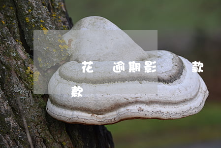 螞蟻花唄逾期影響貸款嗎(螞蟻花唄逾期影響貸款嗎)
