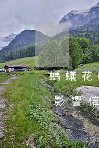 螞蟻花唄逾期影響辦信用卡么-花唄逾期會影響信用卡嗎