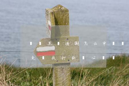 螞蟻花唄逾期怎么申請(螞蟻花唄逾期申請減免讓我打到對公賬戶)