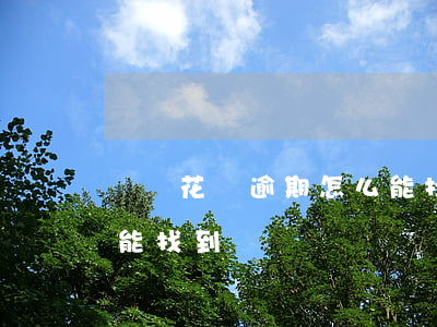 螞蟻花唄逾期怎么能找到(螞蟻花唄逾期怎么能找到)