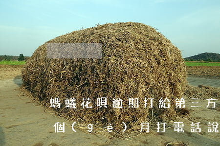螞蟻花唄逾期打給第三方(支付寶花唄逾期3個(gè)月,打電話說要起訴我了)