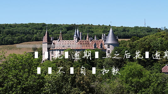 螞蟻花唄逾期換上之后(花唄逾期換個支付寶還會不會自動扣款)