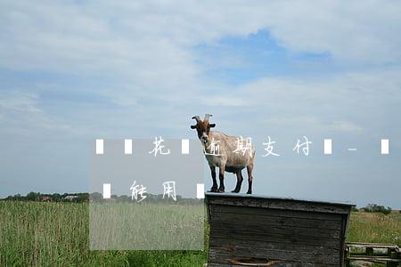 螞蟻花唄逾期 支付寶-螞蟻花唄逾期 支付寶還能用嗎