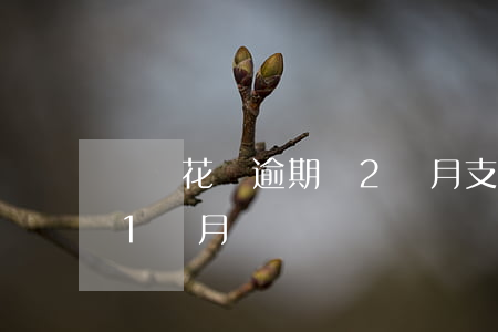 螞蟻花唄逾期會2個月(支付寶花唄可以逾期1個月嗎)