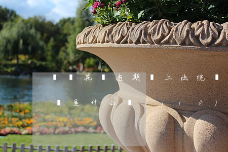 螞蟻花唄逾期會上法院嗎(花唄逾期法院起訴會是什么結(jié)果呢?)