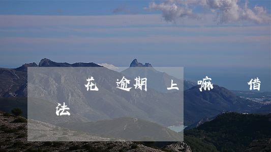 螞蟻花唄逾期會上門嘛(螞蟻借唄逾期上門合法嗎)