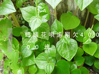 螞蟻花唄逾期欠400多(支付寶花唄逾期300塊)