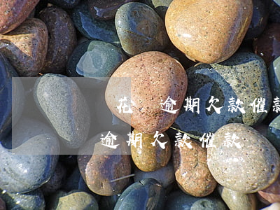 螞蟻花唄逾期欠款催款電話是多少-螞蟻花唄逾期欠款催款電話是多少號