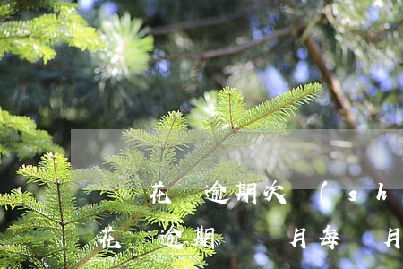 螞蟻花唄逾期次數(shù)怎么查(支付寶花唄逾期幾個月每個月還點(diǎn))