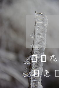 螞蟻花唄逾期沒還會怎樣(螞蟻花唄逾期沒還會怎樣)