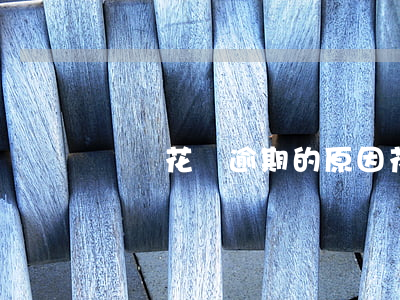 螞蟻花唄逾期的原因(花唄逾期是什么意思啊)