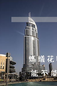 螞蟻花唄逾期能不能辦信用卡(螞蟻花唄逾期能不能辦信用卡)